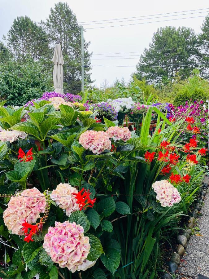 Garden Home In Victoria -Beautiful Home In ビクトリア エクステリア 写真