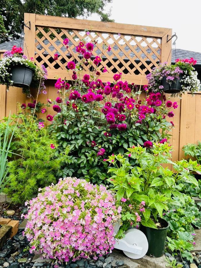 Garden Home In Victoria -Beautiful Home In ビクトリア エクステリア 写真