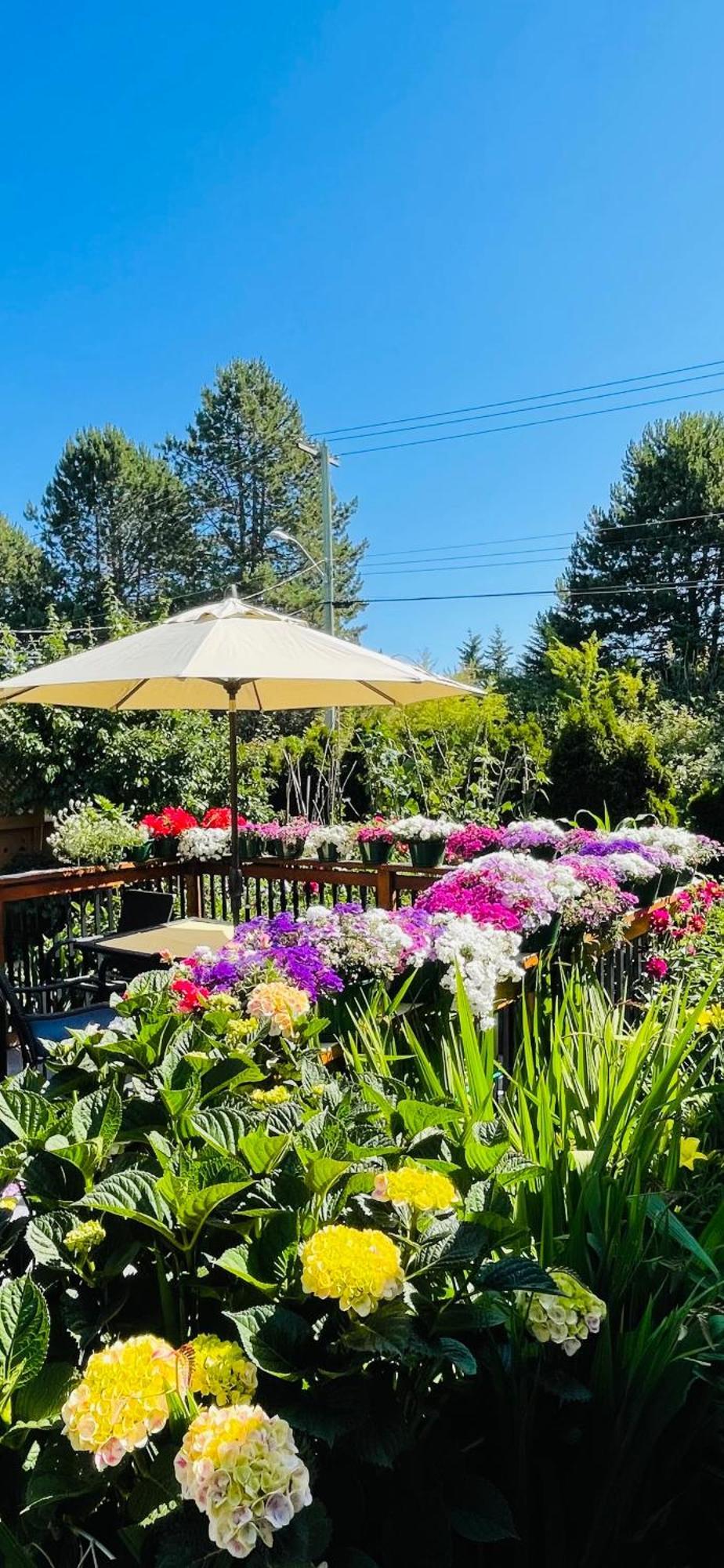 Garden Home In Victoria -Beautiful Home In ビクトリア エクステリア 写真