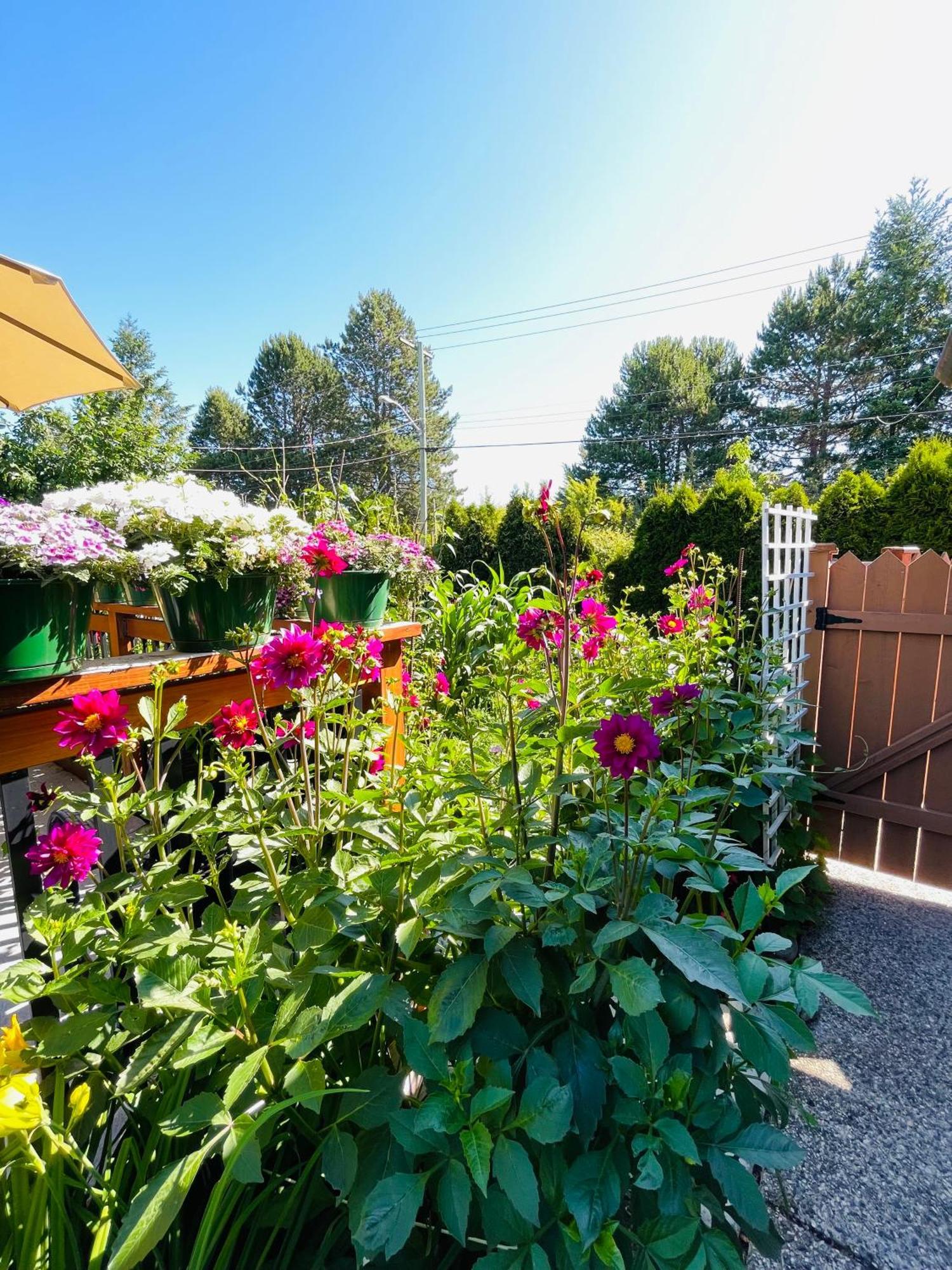 Garden Home In Victoria -Beautiful Home In ビクトリア エクステリア 写真
