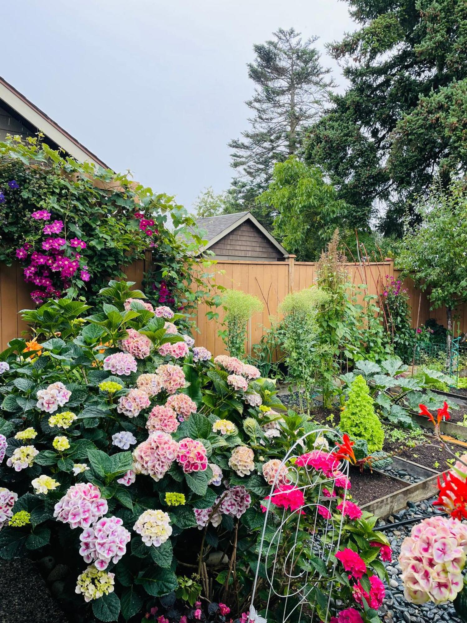 Garden Home In Victoria -Beautiful Home In ビクトリア エクステリア 写真